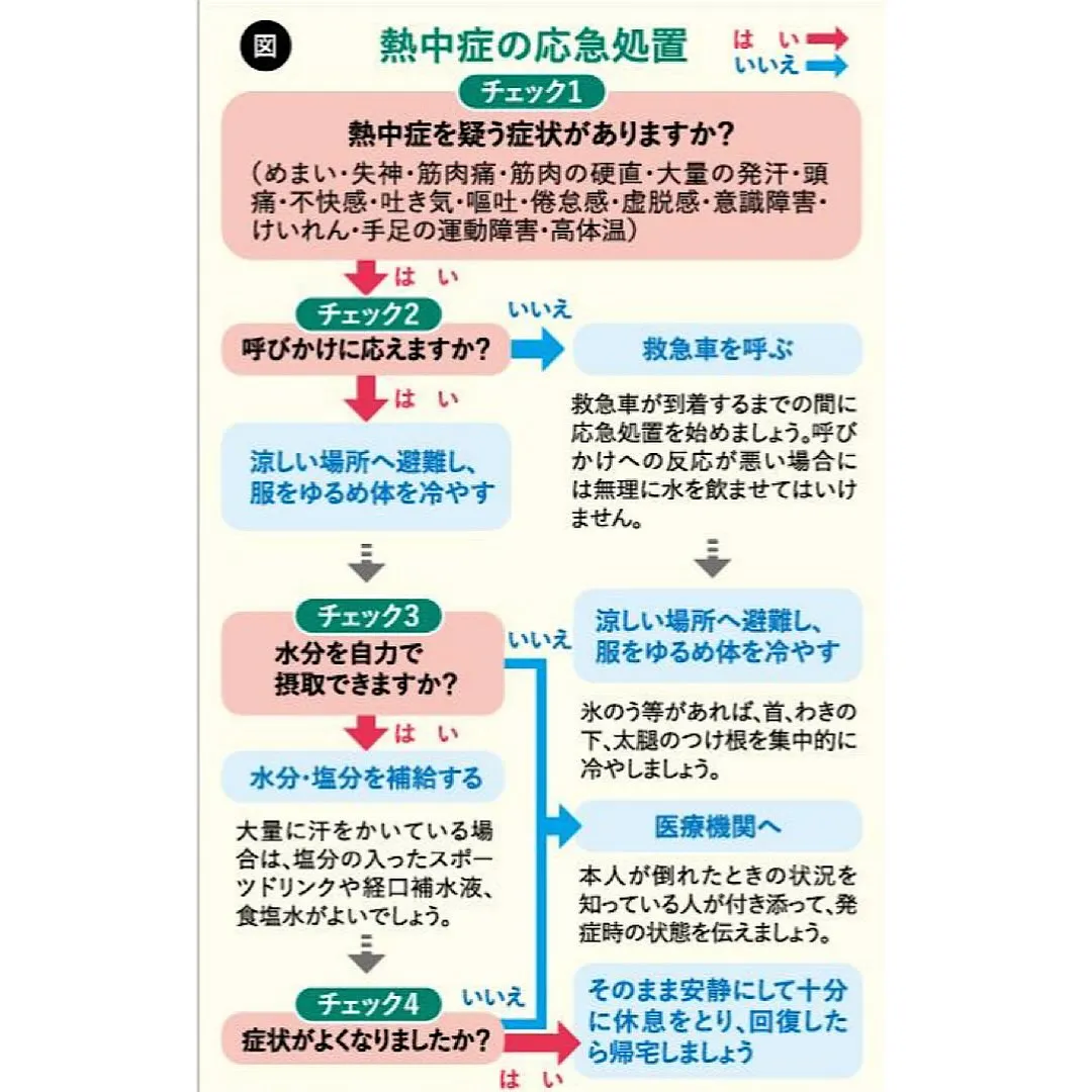 ☀️熱中症にご用心！🥵