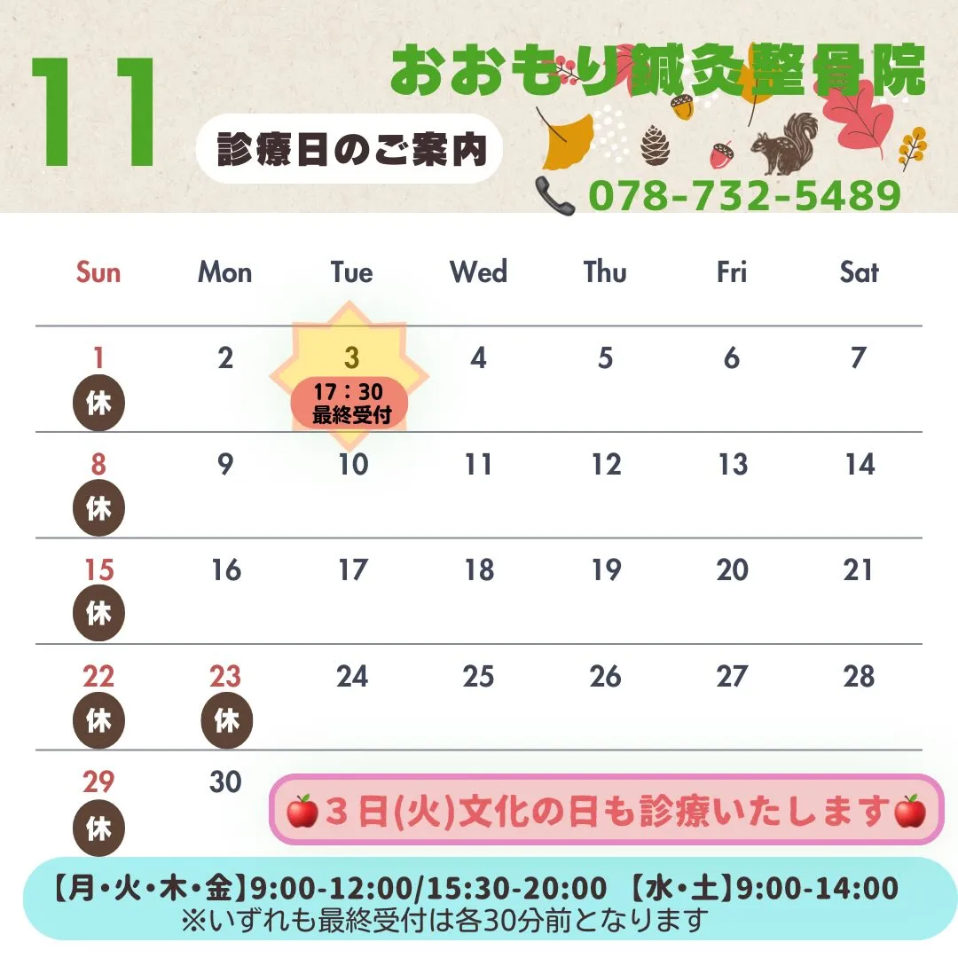 🍁11月の診療日のご案内です🍁